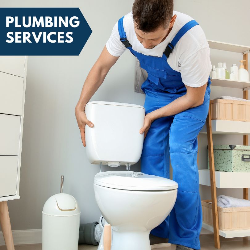 Plumbing Company in Seaton, IL